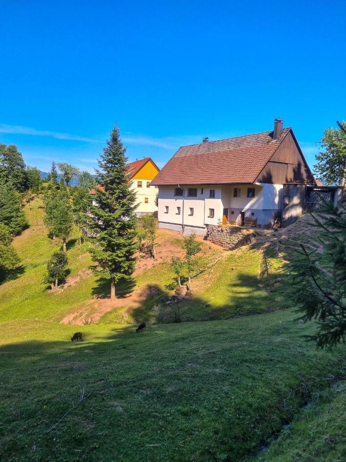 Ferienwohnung Holiswald Опенау Екстериор снимка